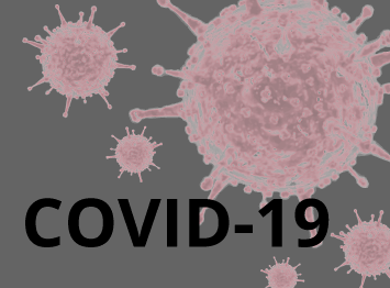 Divulgação de informação sobre COVID-19